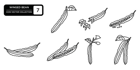 Winged bean icon collection, editable and resizable vector icon templates