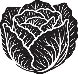 Cabbage organic vegetable silhouette vector illustration isolated on a white background