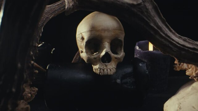Human skull in a dark ritual.