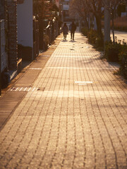 冬の夕方の住宅街で歩くシニア夫婦の後ろ姿と暖かい夕日の風景