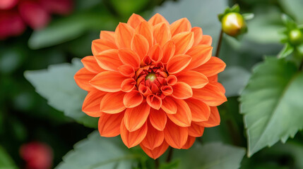 Vivid Orange Flower in Macro Shot with Natural Green Background and Vibrant Detail
