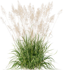 Grass, Bush, Flower Overlays