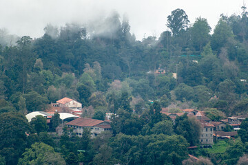 Fototapeta premium Overlooking Kodaikanal, the landscape showcases rolling hills, dense trees, and charming structures enveloped in mist