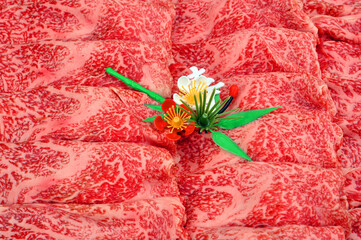 背景に最適な牛肉の模様01