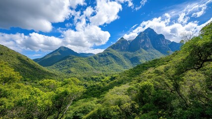 Lush green valley with mountain peaks under bright blue sky scattered clouds