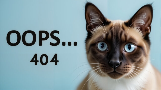Piercing Stare of Siamese Cat Against Pale Blue With "Oops 404" Text