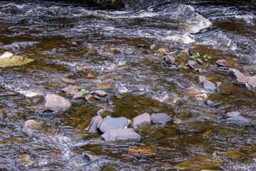 Spill of a shallow mountain river