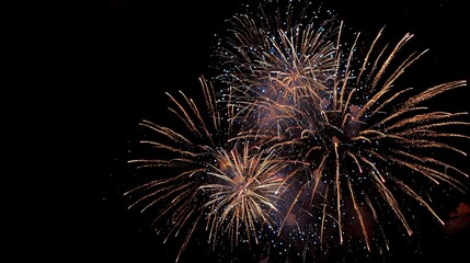 Obraz premium Fireworks Bursting Dynamic fireworks bursting in the blank night sky