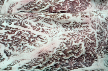 背景に最適な牛肉の模様05