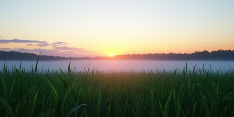 Obraz premium Serene Sunrise Over Lush Green Grassland with Misty Horizon
