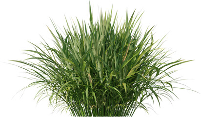 Grass, Bush, Flower Overlays