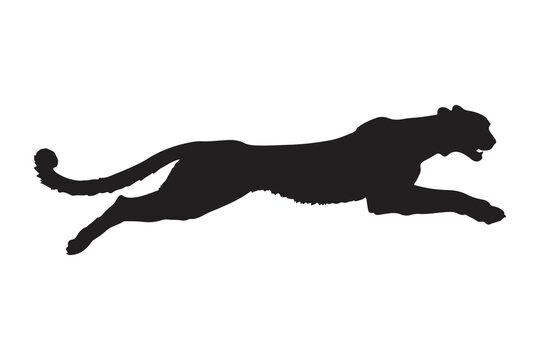 Panther silhouette vector illustration