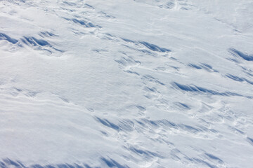 The snow is white and the ground is covered in it