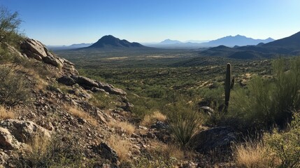 Obraz premium Desert vista: rocky outcrop, distant mountains, arid vegetation.