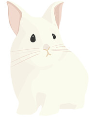 Animal, cute, cute animals, animals, pet