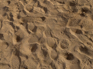 Footprints and patterns in sandy terrain