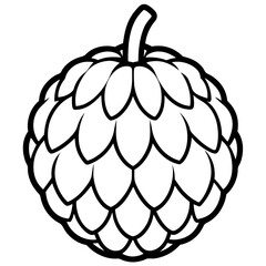 Hand-Drawn Sugar Apple Fruit Vector