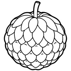 Hand-Drawn Sugar Apple Fruit Vector