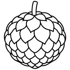 Hand-Drawn Sugar Apple Fruit Vector