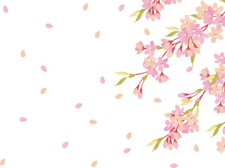桜の花びらが舞う背景素材