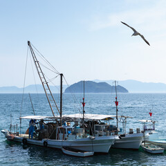 漁を終えた巻き網漁船とカモメ / 山口県大島郡周防大島町