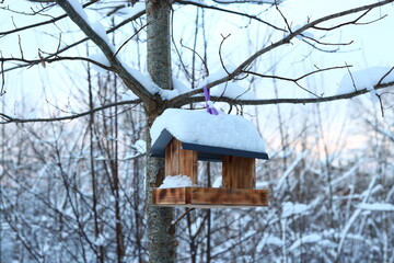 A Beautiful SnowCovered Birdhouse Gracefully Hanging in a Serene Winter Landscape