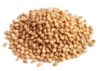 Fototapeta premium Cardamom Seeds Pile Isolated on white background