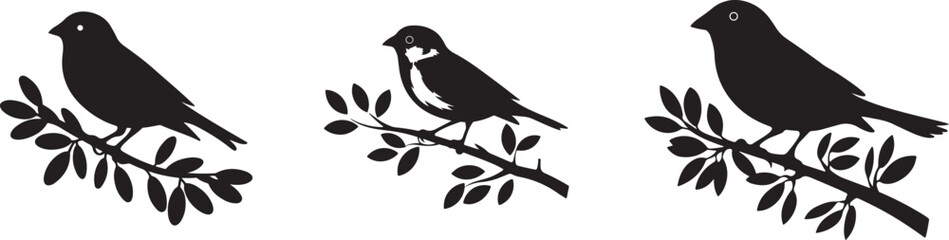Elegant Black Birds Sitting on Branches
