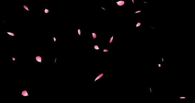 Beautifully dancing petals material(endless roop)
