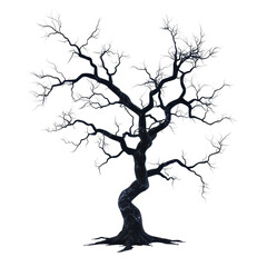 Obraz premium A twisted tree with intricate branches and leaves. transparent background