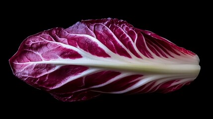 Obraz premium Close up of a vibrant radicchio leaf, isolated on a smooth black surface with contrasting shadows