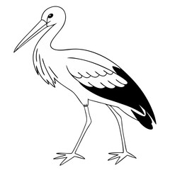 Stork