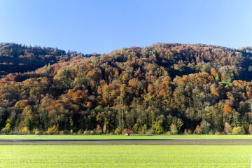 Rural landscape with mountain and woodland in the background at Swiss village of Flums on a sunny autumn day. Photo taken November 15th, 2024, Flums, Switzerland.