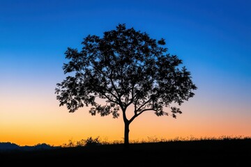 Fototapeta premium Silhouette of a Tree Against a Bright Blue Sky for Nature and Landscape Projects