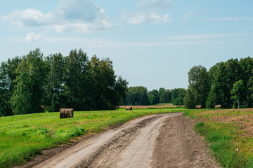 country road in the field