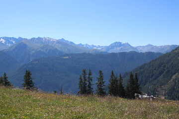 Fototapeta premium mountains with trees