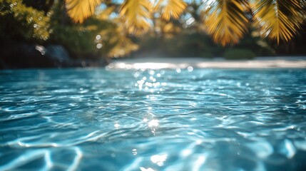 Tropical Paradise: Crystal Clear Water and Palm Trees