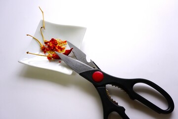 乾燥した赤唐辛子を切るイメージ