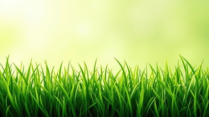 Obraz premium Bright green realistic grass border with seamless design for use in digital projects, bright green, realistic
