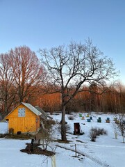 winter in the village