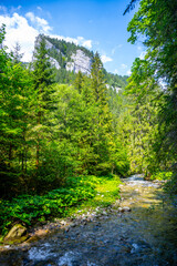 Fototapeta premium In the Demanovka River Valley, crystal-clear waters meander through rich greenery, surrounded by towering cliffs and vibrant forest life under a bright blue sky.