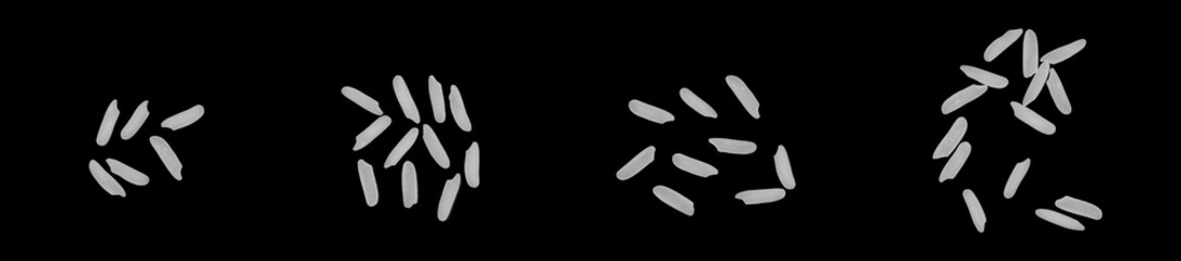 Raw rice grains, macro close-up. Raw rice grains, isolated on black background.