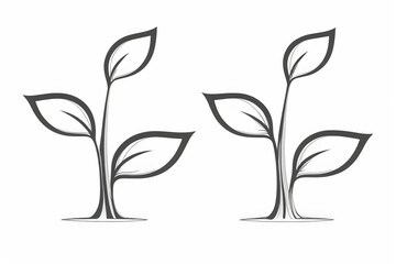 a close up of two plants with leaves on a white background