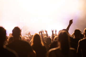 Crowd at concert and blurred stage lights.