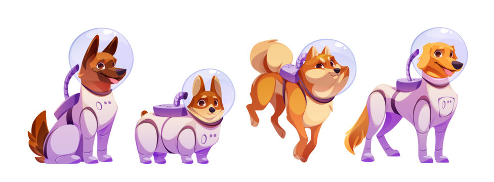 Astronaut dogs set isolated on white background. Vector cartoon illustration of cute animals wearing glass helmets and spacesuits for space exploration, labrador, corgi, akita-inu, shepherd breed pets