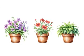 Obraz premium three potted plants with flowers on a white background