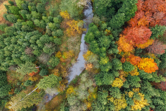 Aerial view of the river Lein in the Swabian-Franconian Forest during autumn in Baden-W�rttemberg, Germany