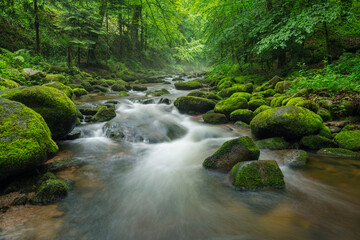 The Grobbach stream flowing through the lush forest in the Northern Black Forest near Baden-Baden, Germany