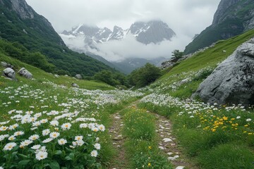 A charming pathway lined with daisies leads through a lush green valley, framed by majestic mountains that invite exploration and connection with nature.
