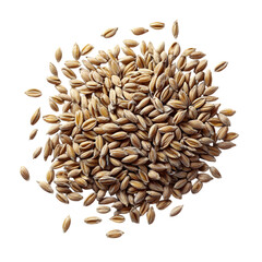 Obraz premium Pile of Rye Grains Isolated on Transparent Background - High-Fiber Antioxidant-Rich Grain